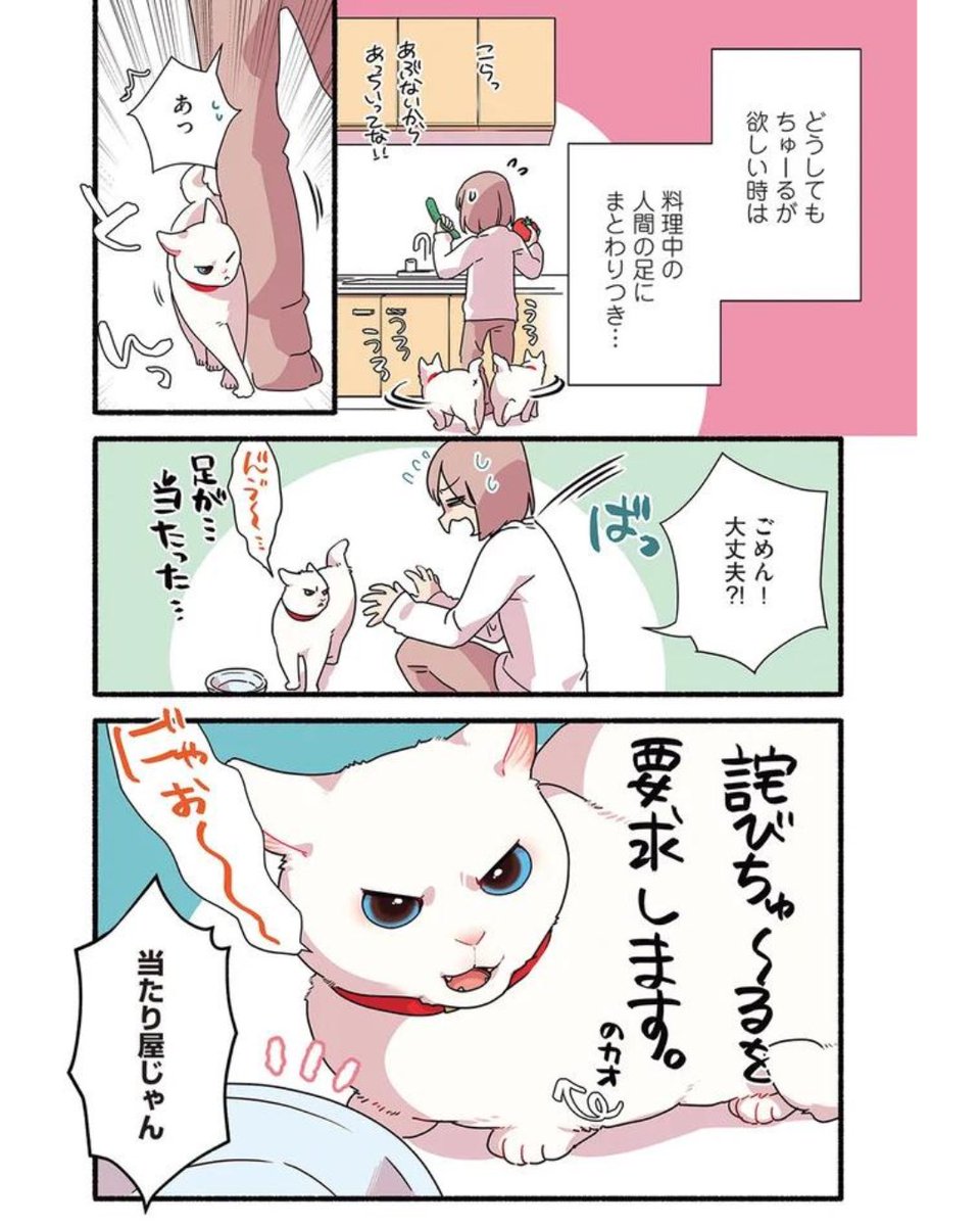 めちゃくちゃな要求をしてくる猫の話
(1/2)
 #漫画が読めるハッシュタグ
 #愛されたがりの白猫ミコさん 