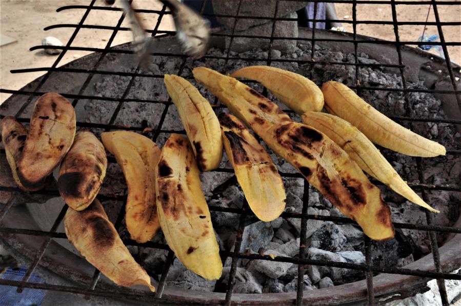 ChiefHerbalist tweet media