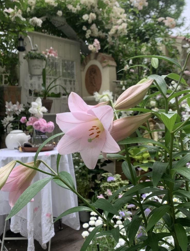 𓈒 ࣪ ˖ (@heartzjpg) on Twitter photo 