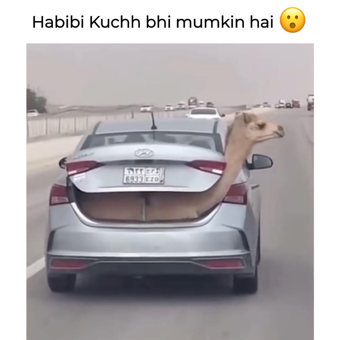 hemantkumarIn's tweet image. #Habibi