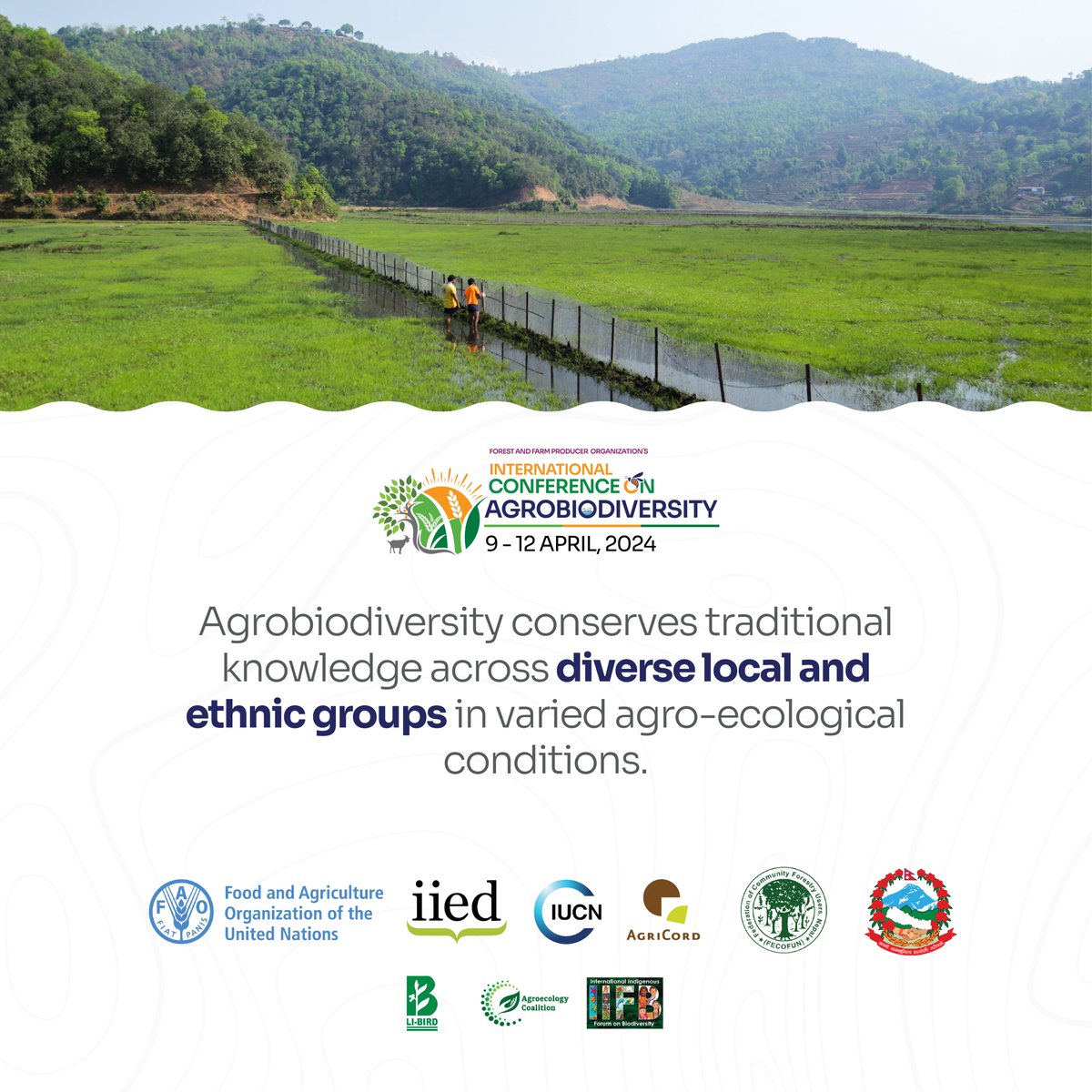 International Conference on Agrobiodiversity Please register to the link fao.zoom.us/webinar/regist… for the virtual participation in International Conference on Agrobiodiversity #ICA2024 #FFF #InternationalConferenceonAgrobiodiversity #agrobiodiversity