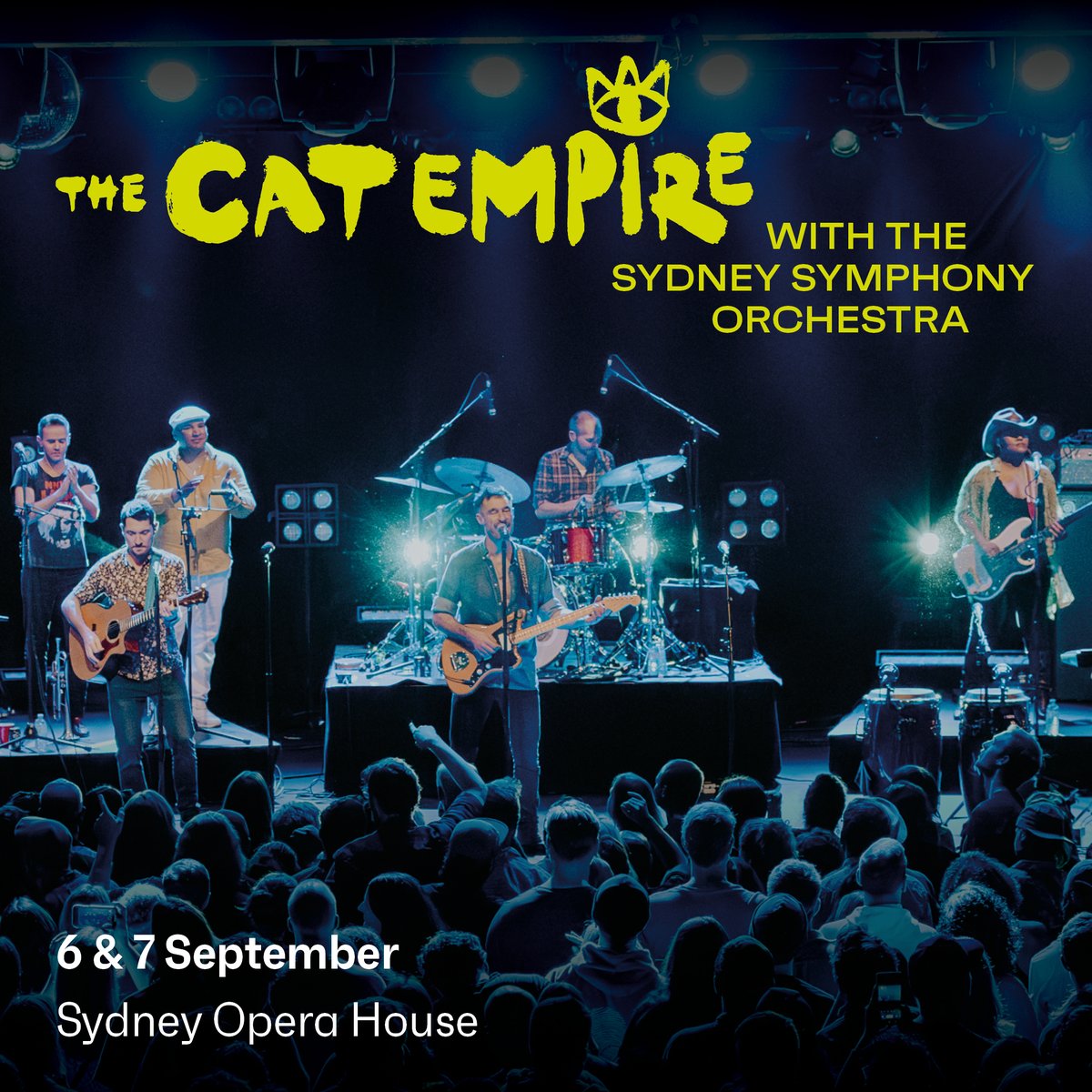 thecatempire tweet picture
