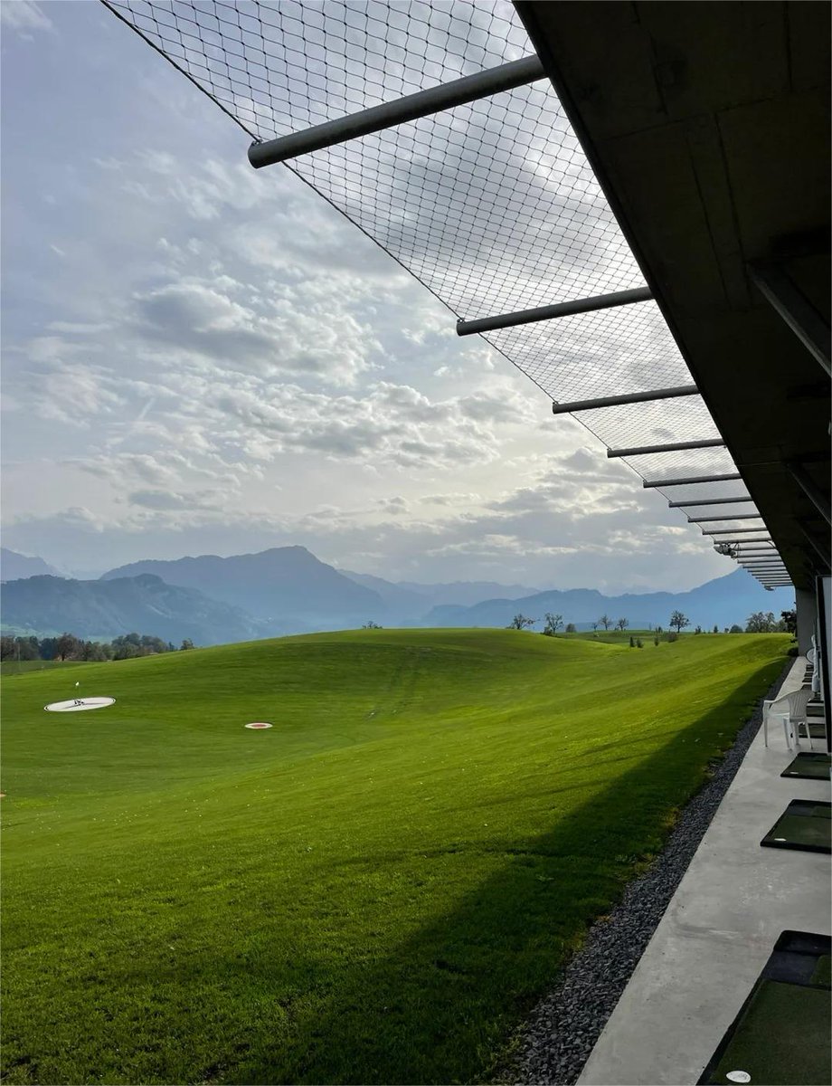 No sun, not yet cloudy, dry air and mild temperatures. When you get weather like this, you have to fight it out.