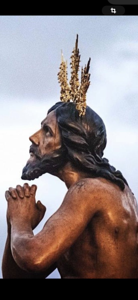 Hoy todos miramos al cielo…
Feliz domingo de Ramos.