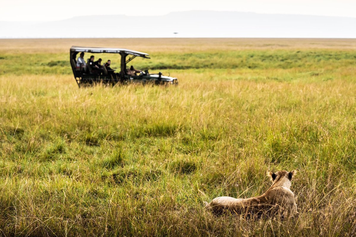 Masai Mara was 🤩

#WRC #SafariRally #MasaiMara