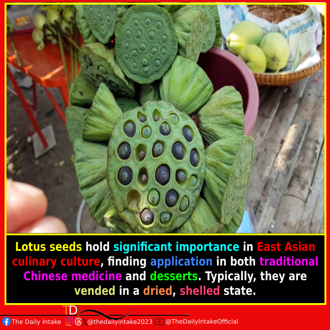 Discover the Delicate Delights of Lotus Seeds: A Taste of Tradition! #LotusLove #CulinaryCulture #SweetTreats #LotusSeedDelights #AsianCuisine #HealthyEating #TheDailyIntake
