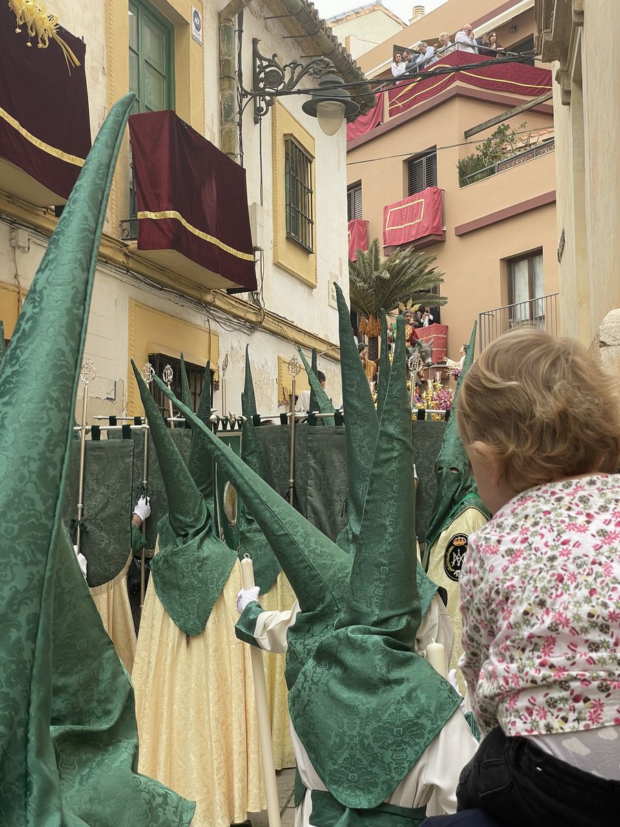 MarFerCrespo's tweet photo. Arrancamos la Semana Santa con Ntro. Padre Jesús a su entrada en Jerusalén y Mª Stma. del Amparo 🌹💜💚 #SemanaSanta24 #Malaga https://t.co/G2E4FBZogV