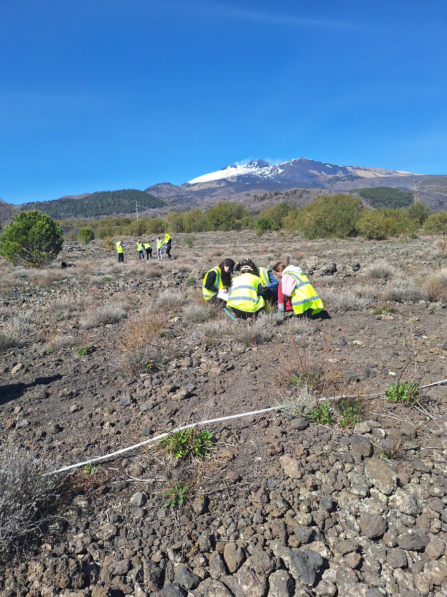 Dr Marta PerezFernandez tweet media