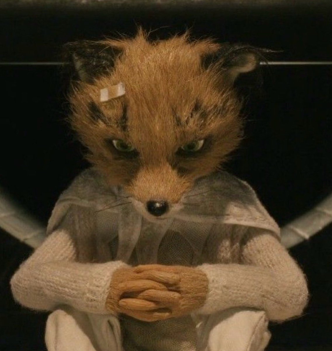 charlotte tweet media