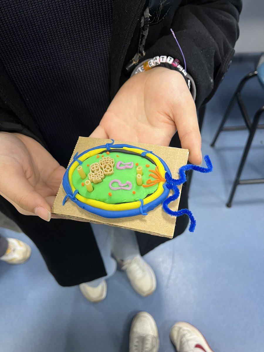 Fun day at the @Cambridge_Fest @CamPathology making pathogens out of playdough and teaching about the importance of vaccination. Children liked the activity, parents loved it. Who would have thought playdough can play such a big part in raising vaccine awareness in adults?