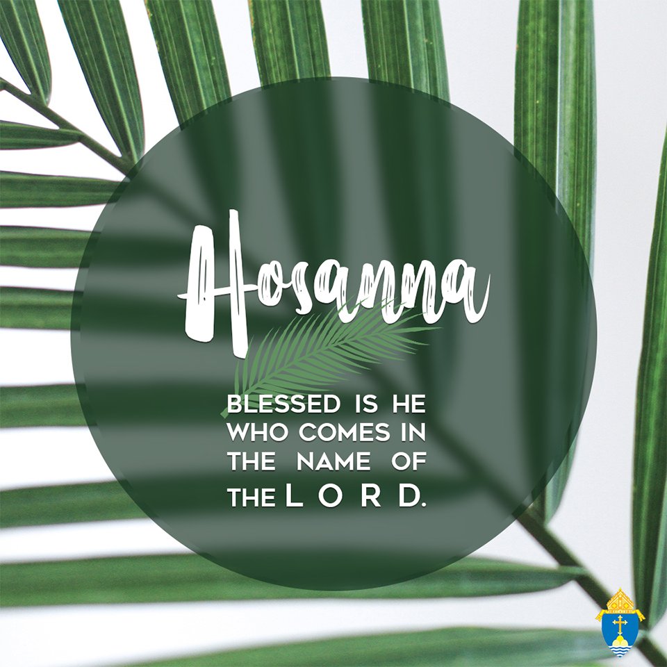 HolyFamilyDux's tweet photo. Hosanna in the highest! #bostoncatholic #lent #palmsunday https://t.co/8EovAle8MC