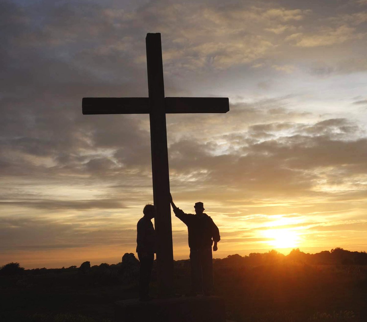 BureCottage tweet media