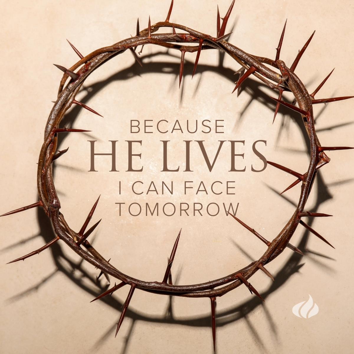 The 700 Club tweet media