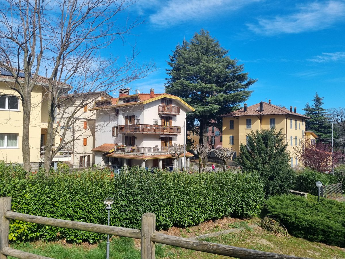 MassimilianoMuggianu tweet media