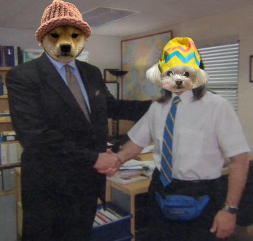 Family sticks together - <a href="/dogwifcoin/">dogwifcoin</a> 

dextools.io/app/en/solana/…