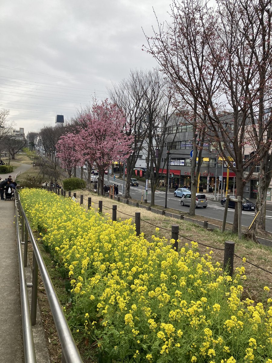 moremotoko's tweet photo. Moreのメンバーが第13回たまプラーザ桜フェスティバルに参加しました✨
26日(火)のMoreぷらでMCの感想等を���送します！
担当MCの一言「ケバブ美味しかった」 https://t.co/0auROAxV9y