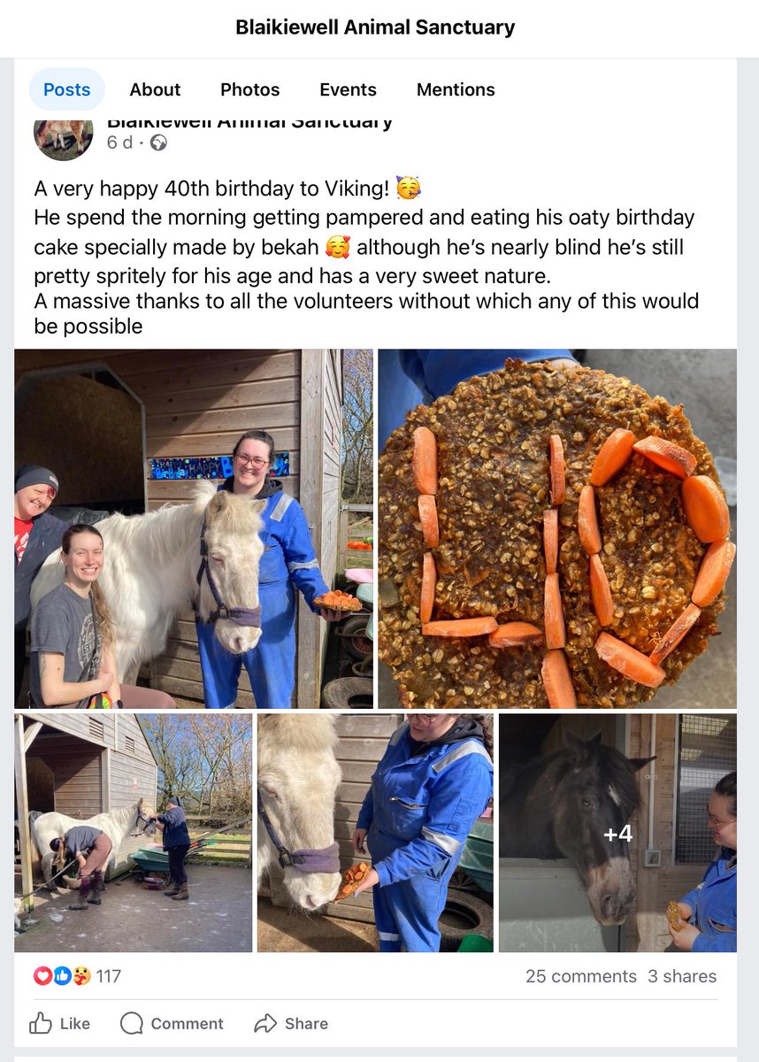 LMSBOSSY's tweet image. And Viking was 40 last Monday. #Bartleby #TheArchers