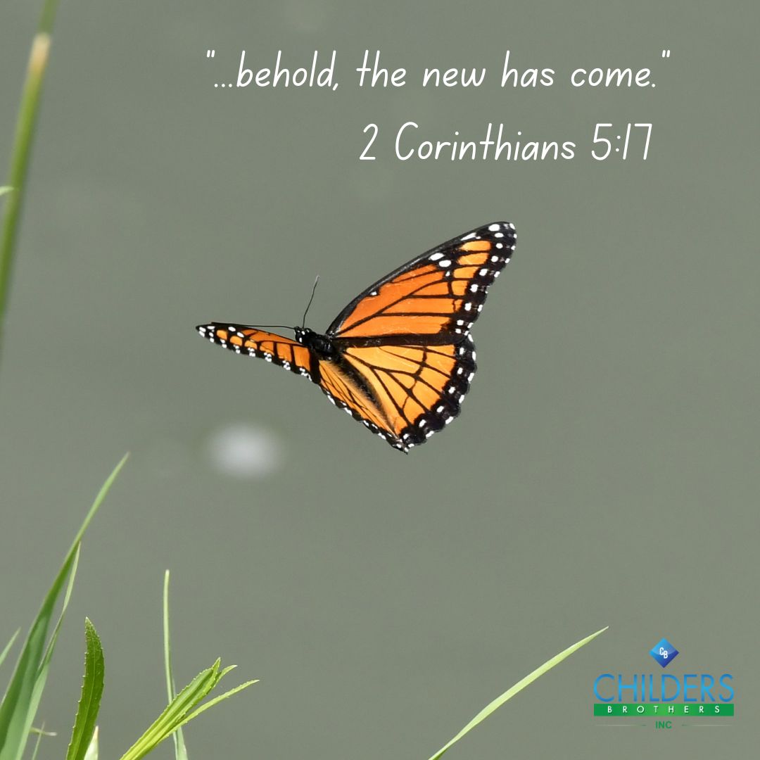 'Therefore, if anyone is in Christ, he is a new creation. The old has passed away; behold, the new has come.' - 2 Corinthians 5:17

#NewCreation #SundayInspiration #Corinthians #FaithRenewal