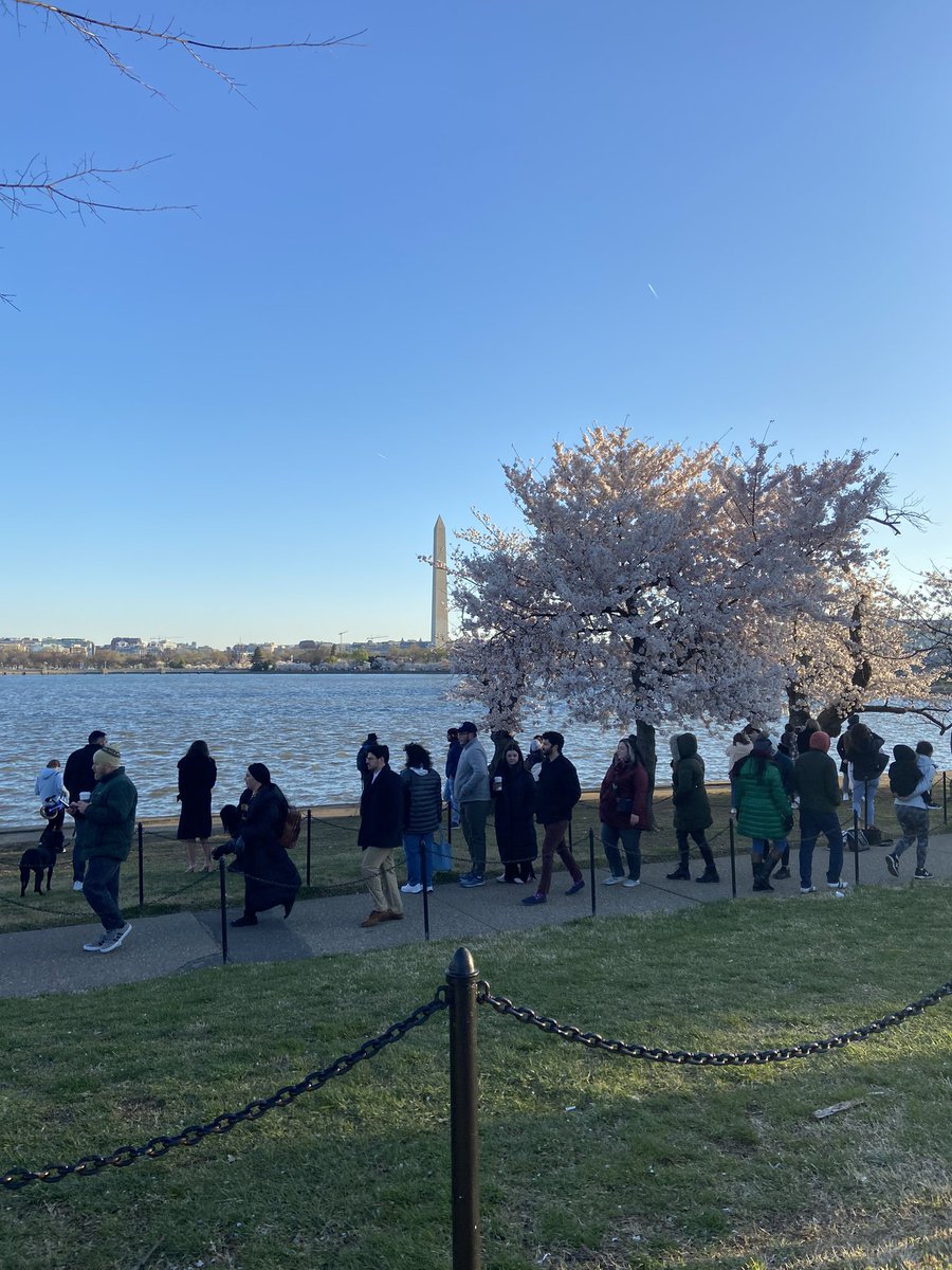 Today’s #BroadStreet training run brought to you by TJ, GW, and the cherry blossoms. Almost made running worth it.