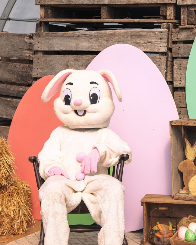 Join the Easter Bunny and his pals at Willlowtree Farm's Easter Eggstravaganza this weekend! 🐰🎉 Hop along the enchanted forest and enjoy the ultimate egg-venture. 🗓️: March 29 to 31 For more details, and more Easter events in #DurhamRegion, visit bit.ly/43wO4Lp.