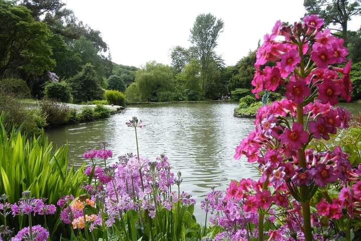 Torridge215's tweet photo. Three million reasons to dig in for the NGS as they open garden gates in big charity push. Read about the fund-raising success of this fabulous group at https://t.co/aUyk2HLLnr
#devonngs #northumberland #charity #fundraising https://t.co/mc2UH9gaHs