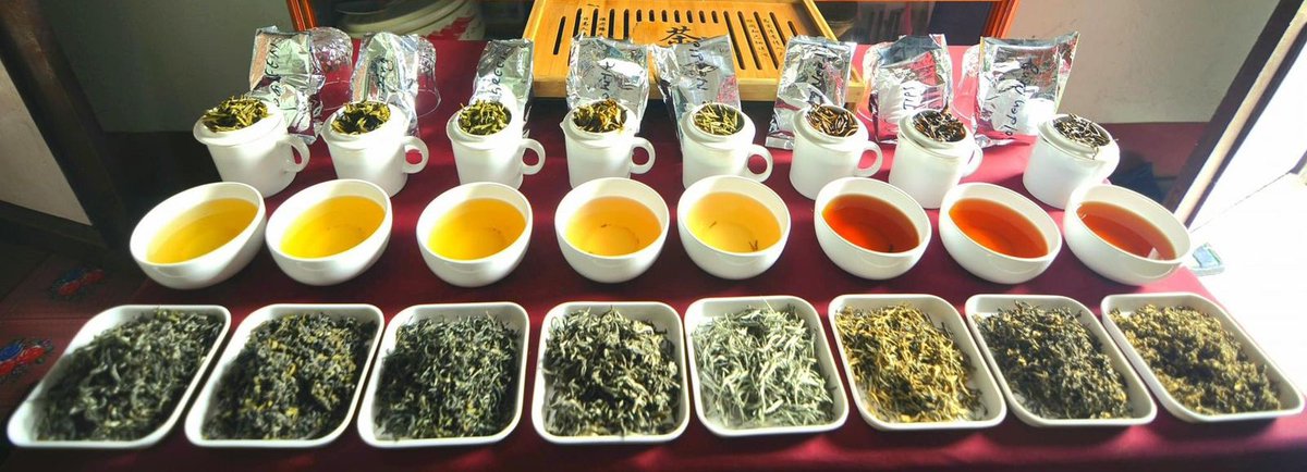 Exciting range of #orthodox #tea from #Nepal