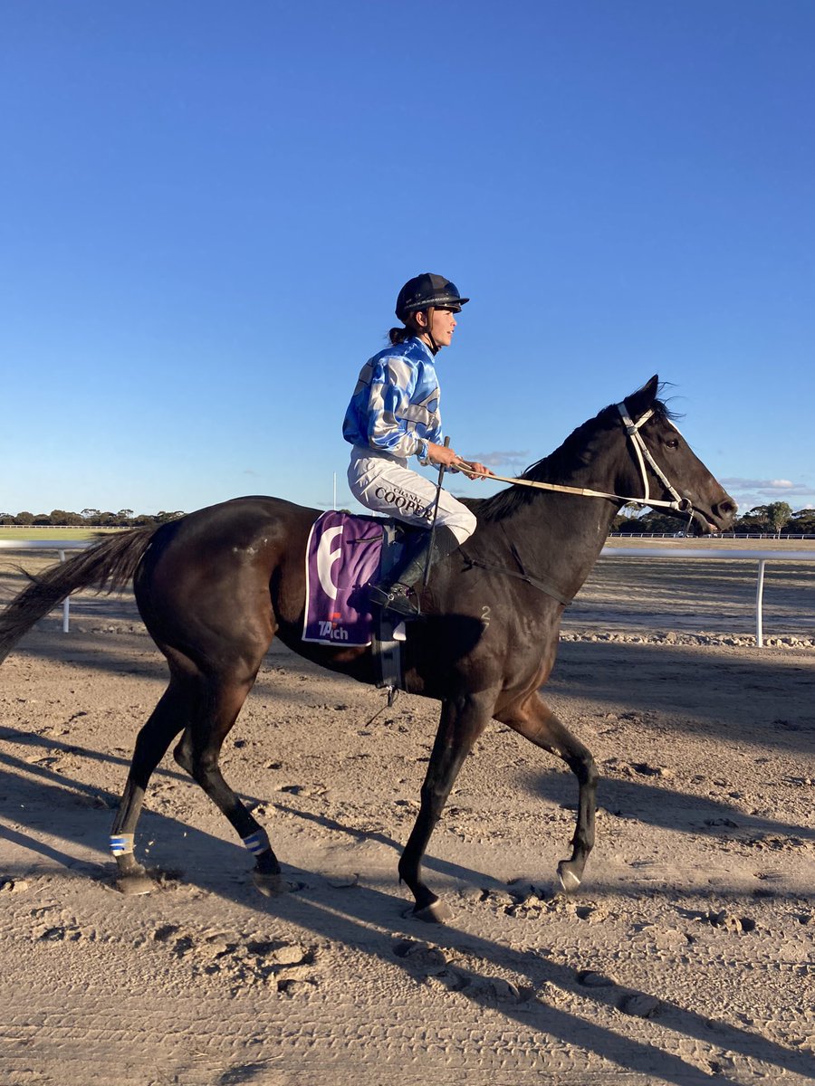 Big Weekend for @RacingWA_ apprentice jockeys #ZephenJohnstonPorter bags a treble @TasracingAus #RosieMahony rides 1st Cup winner #ChanelCooper rides a double to achieve 5th winner #LukeCampbell rides his 1st Listed winner #CasseyMartinan wins on Pinjarra cup day @TABradio