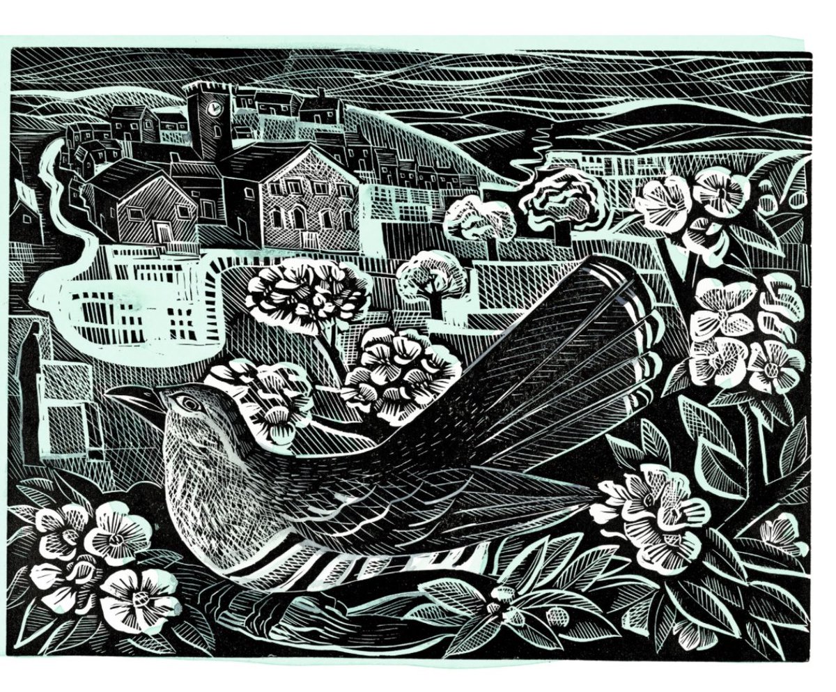 Cuckoo for spring- illustration from Blossomise by Simon Armitage @FaberBooks @nationaltrust #blossom