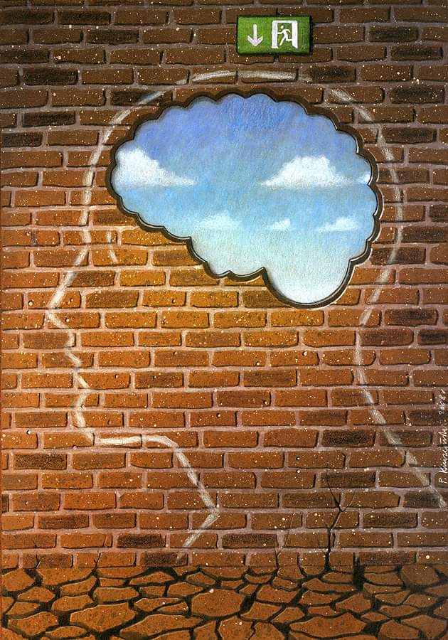 Emily Miller tweet media