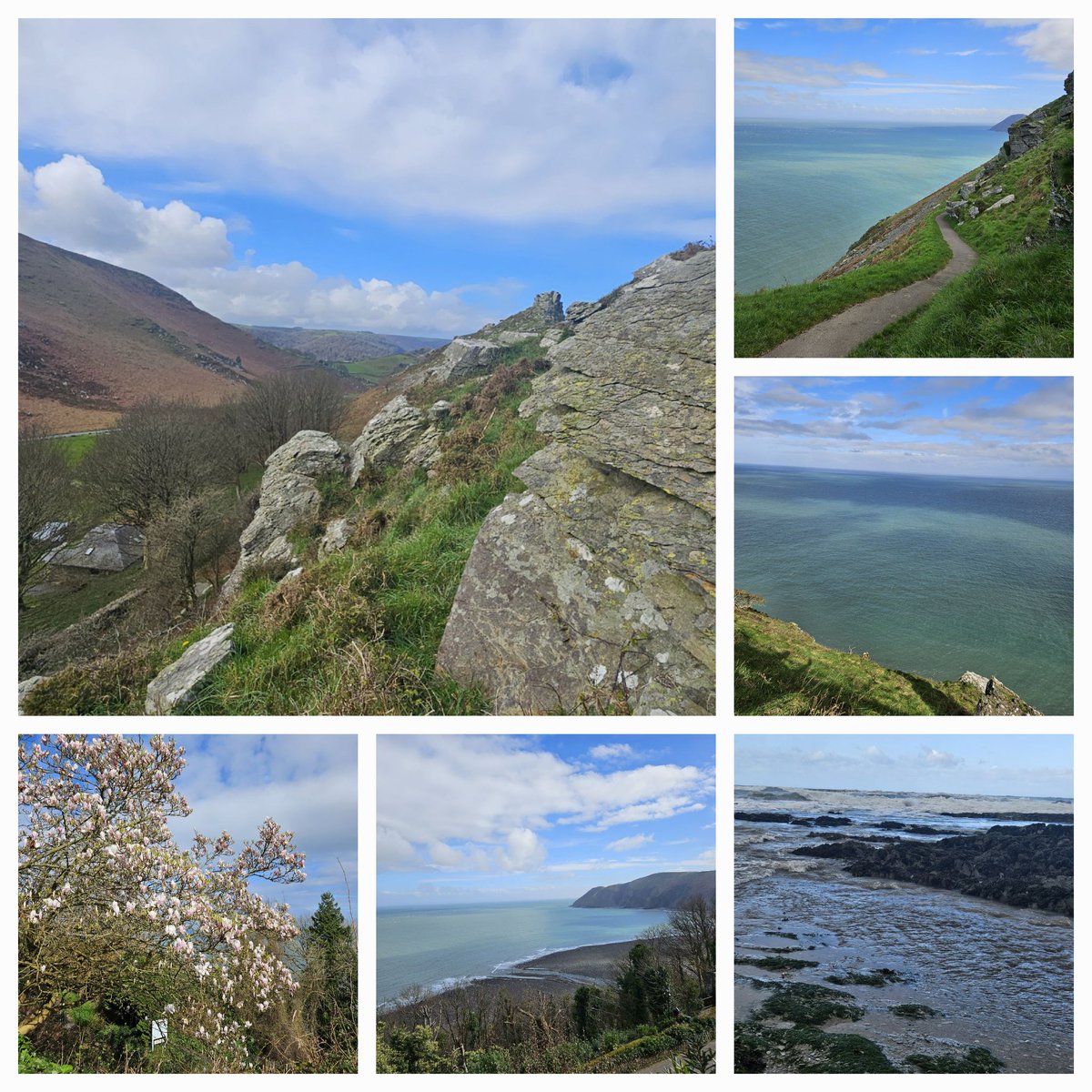 Less ornamental and more scenic #SixonSunday today @EstelleHitchon @RachelMMarsh @AngieLewis_CH and anyone else who likes #NorthDevon #ValleyoftheRocks