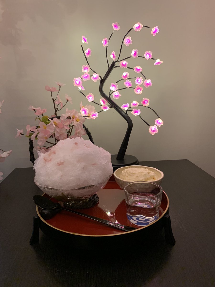 jigenfirefly's tweet photo. さくら祭りに誘われて冬眠から目覚めました！ https://t.co/KME2vc1kYp