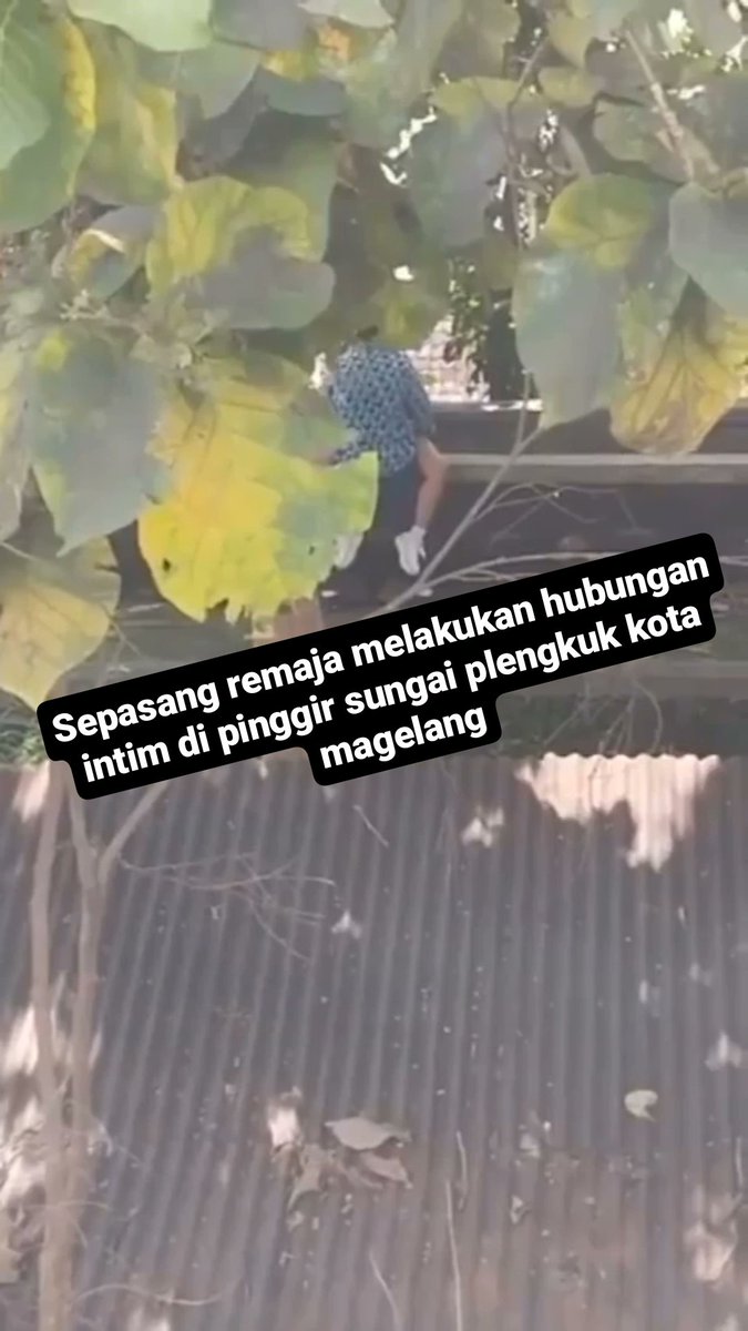 Miracle X tweet media