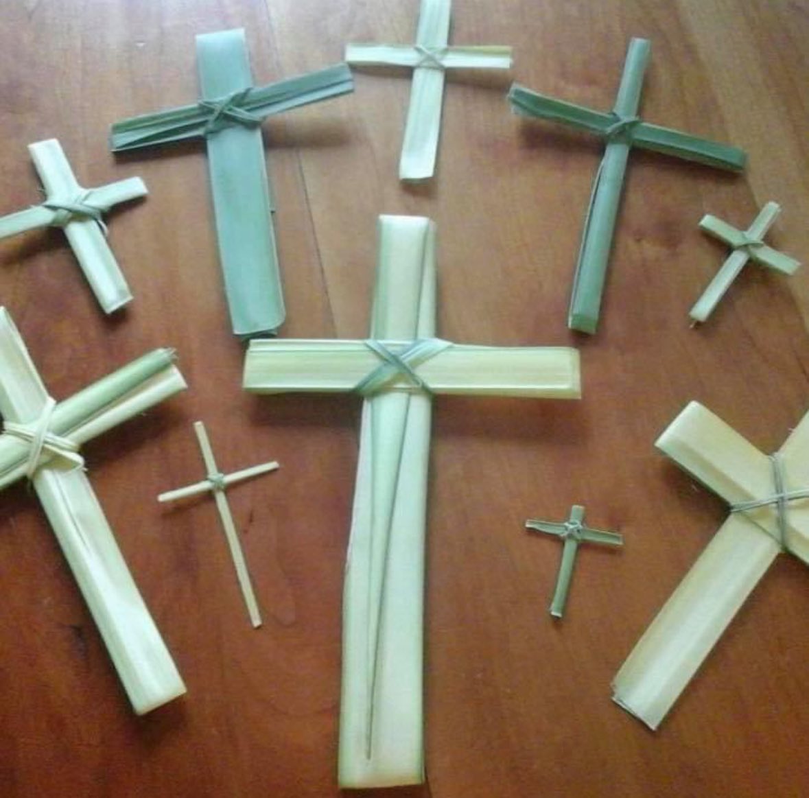 Nicole Blankenship tweet media