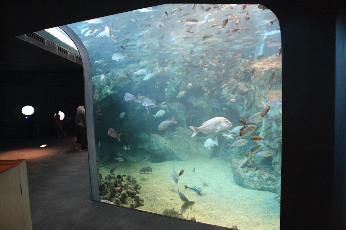 博物月報 tweet media