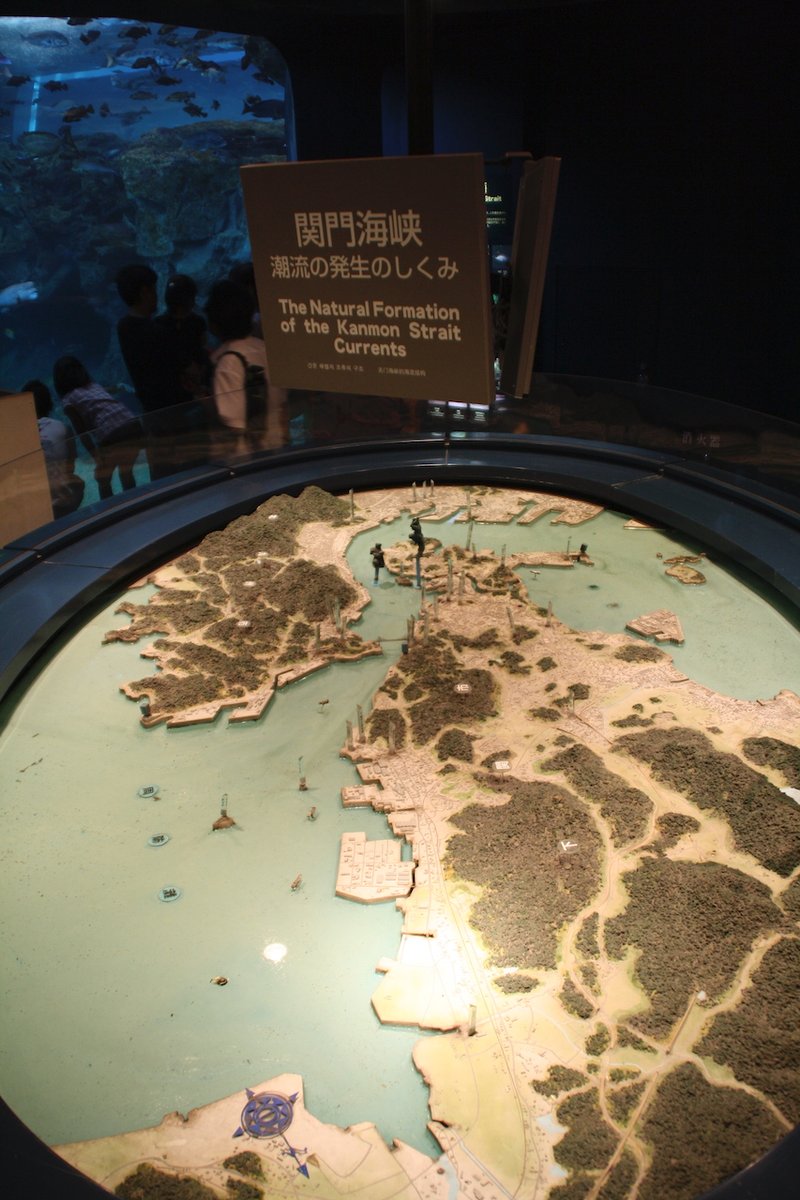 博物月報 tweet media