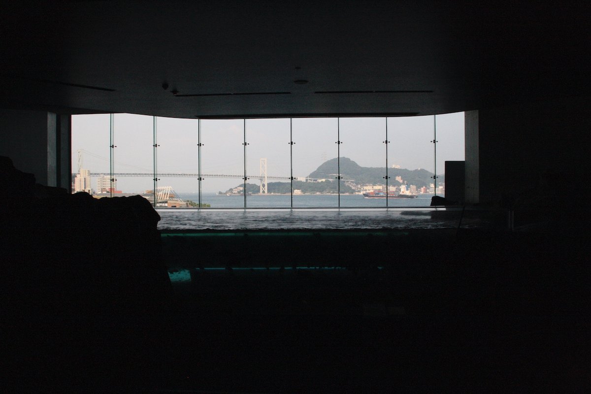 博物月報 tweet media