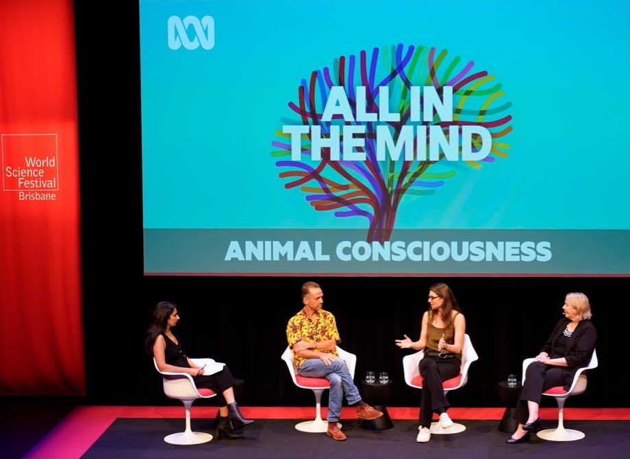 We had such a varied yet in-depth conversation this morning at the World Science Festival (in Brisbane), discussing animal consciousness on a panel for ABC’s most popular podcast, All in the Mind, with Sana Qadar. A sold out event (265 tickets)! #WSF24 📸: @DoktrNick 🙏