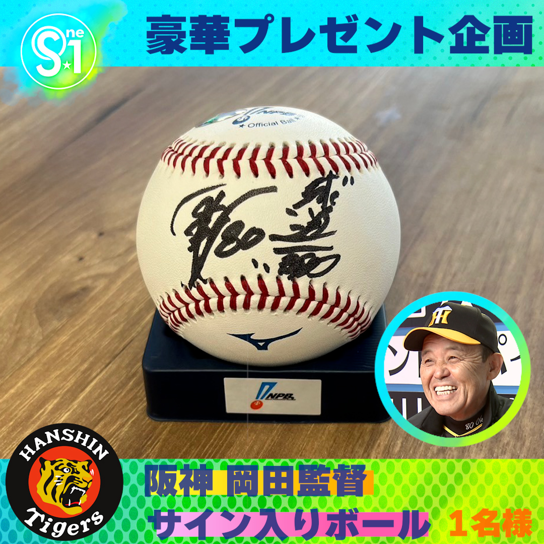 甲子園100周年記念サインボール 5個セット 最安値！【阪神タイガース