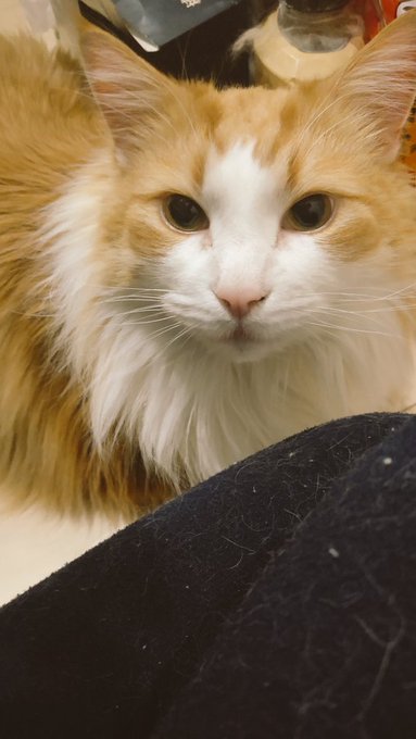 これが
こうなる 