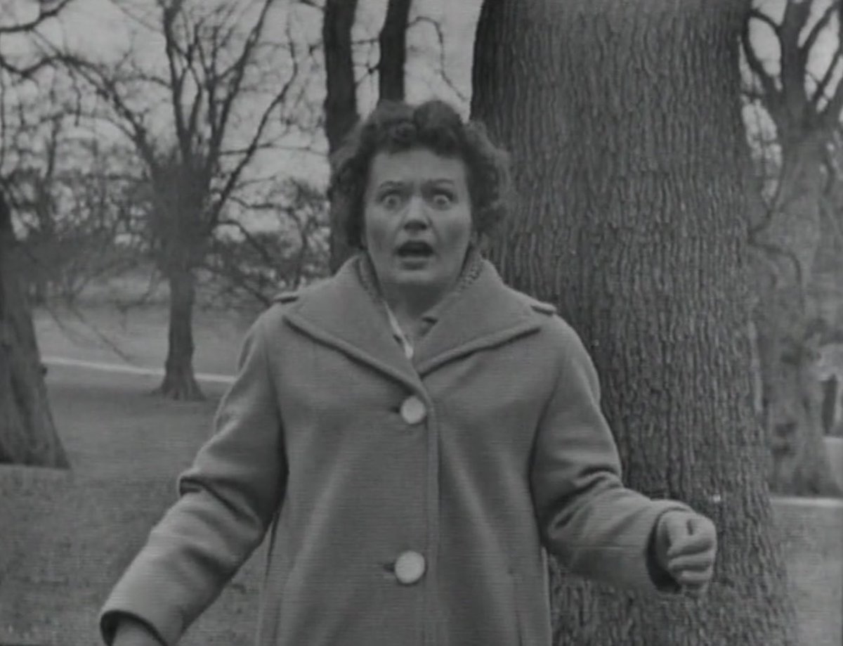 Early Sunday morning run in the park: much dog.