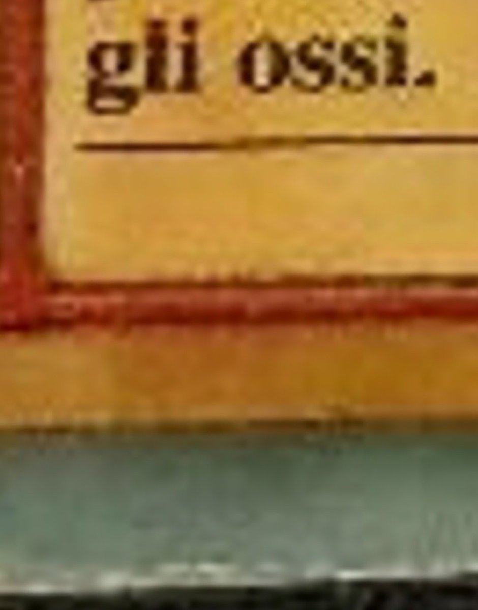 Anzi, gli ossi