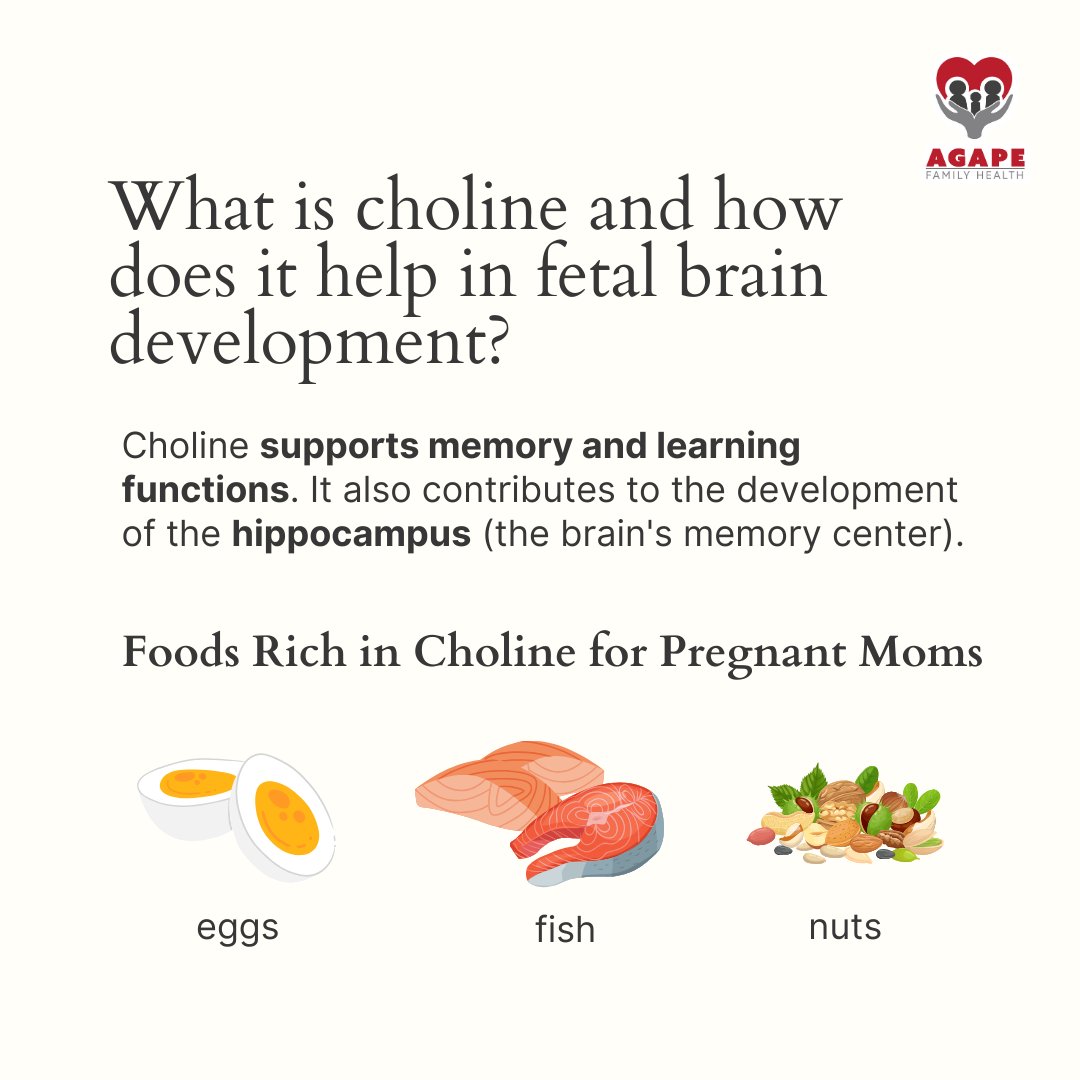 Did you know that choline plays a crucial role in your baby's brain development? It's vital for forming neural pathways that enhance memory and learning abilities.  #HealthAndNutrition #HealthcareInFlorida #AgapeFamilyHealth #PrenatalCare #PregnancyNutrition