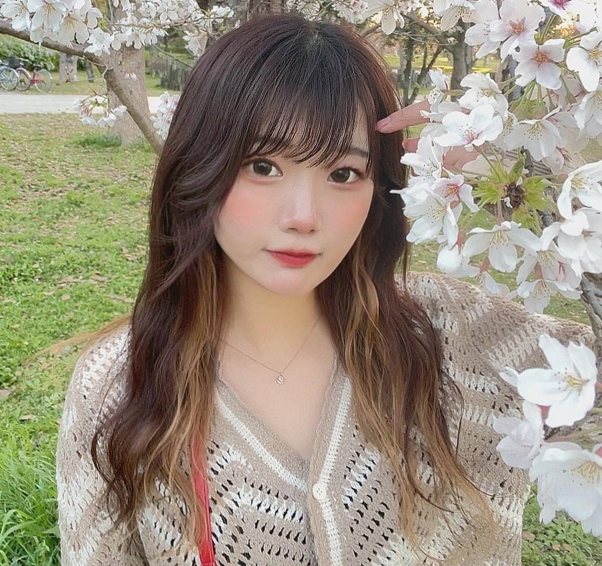 petit chaton?‍⬛?大阪コンカフェ on X: 