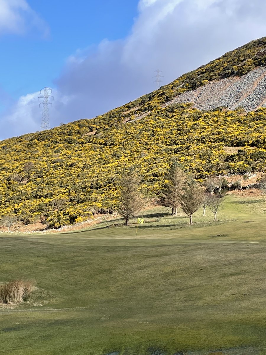 Sunday morning golf @ Helmsdale golf club. Cracking wee 9 hole course. Course 159 🏴󠁧󠁢󠁳󠁣󠁴󠁿🏌️🏌️‍♀️⛳️