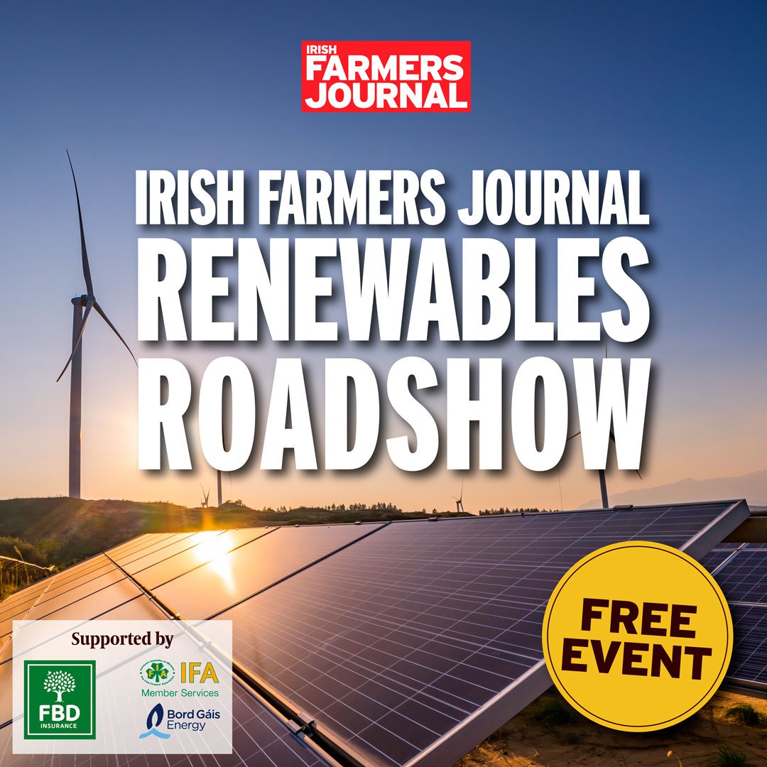 How do you make renewables pay for your farm and business? Click the link to register and find out how 👉 eu1.hubs.ly/H08fxNm0 Supported by @fbd_ie , @BordGaisEnergy and the @IFAmedia