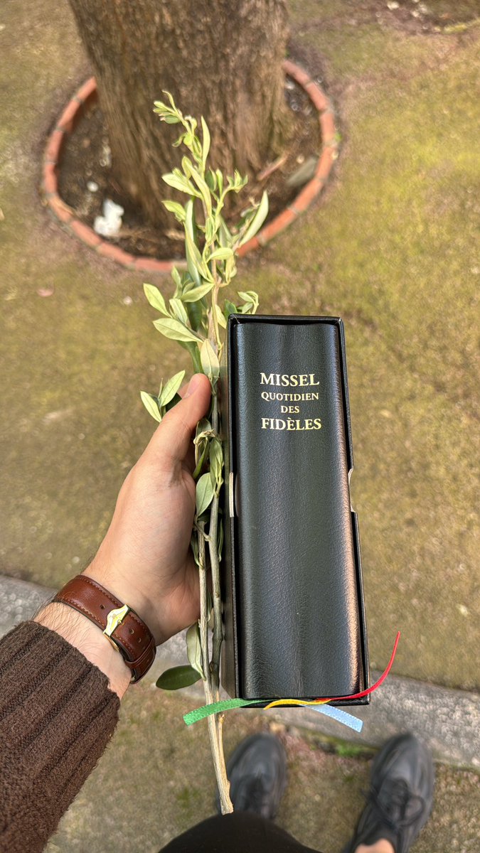 tanjirocatho's tweet image. Bon et Saint dimanche des rameaux a mes frères et sœurs Catho. 
Nous débutons la semaine la plus importante de notre Religion. La Semaine Sainte. ✝️