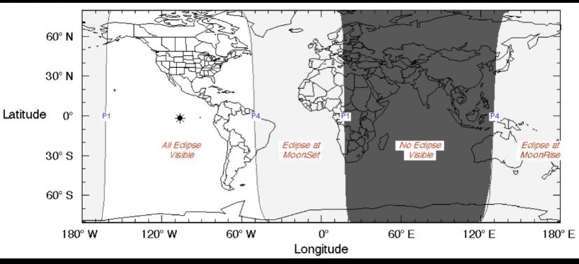 Kiwi 🕊 tweet media