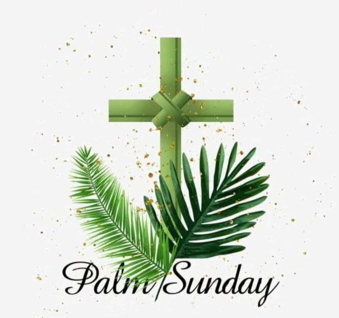 Blessed #PalmSunday ”…..took branches of palm trees and went out to meet Him, and cried out: “Hosanna! ‘Blessed is He who comes in the name of the Lord!’ The King of Israel….!”“ John 12:13 NKJV