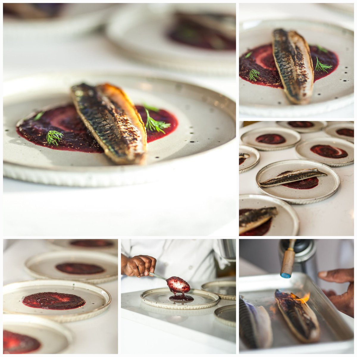 ShwenShwenbyM's tweet photo. Cured and blow-torched mackerel with hibiscus and ginger sauce (recipe in Sweet Salone)

Mackerel from @halesandmoore

#hibiscus #mackerel #curedmackerel #fishcourse #dill #ginger #afrofusion #privatechef #sweetsalone #mothersday 

Photos by @bimalt https://t.co/TlbdWJ51WB