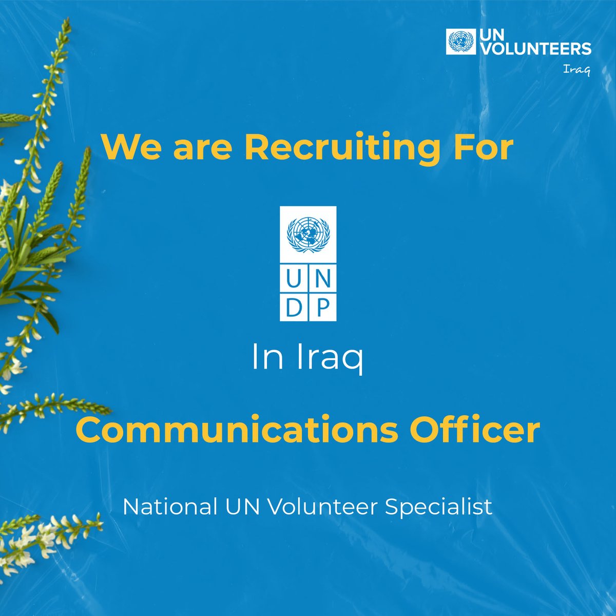 Volunteer as 'Communications Officer' with @undpiraq 📅 Apply by 04 April 2024: bit.ly/3PzTHTE